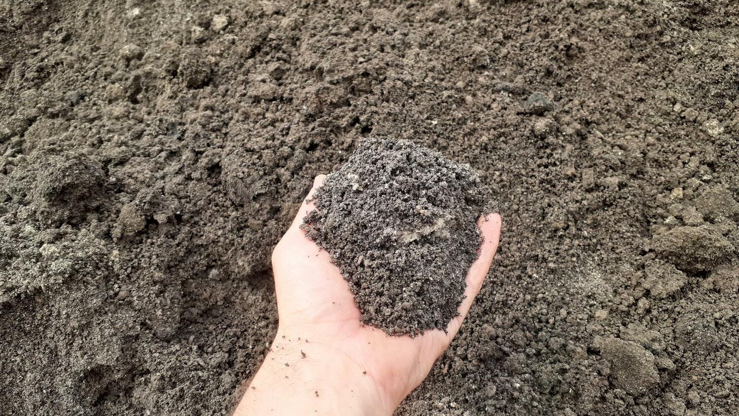 сапропель, удобрения, органические удобрения Сапропель